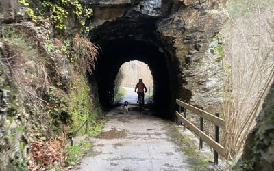 Descenso senda del oso