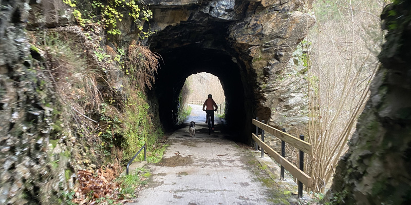 Descenso sanda del oso en bici