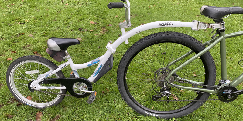 Senda del oso en bicicleta